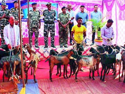 Turn to goat and poultry | शेळी व कुक्कुटपालनाकडे वळा