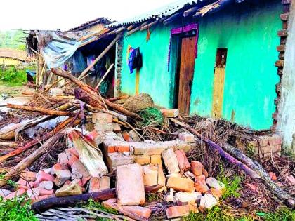 Houses destroyed by 'those' elephants again | ‘त्या’ हत्तींकडून पुन्हा घरांची नासधूस