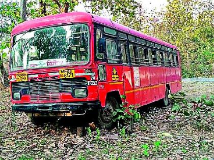 And leaving the road just 30 meters into the forest | अन् रस्ता सोडून बस ३० मीटर घुसली जंगलात