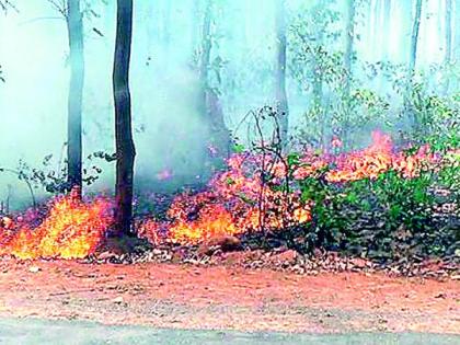 908 firefighters | 908 अग्निरक्षक राेखणार वणवे