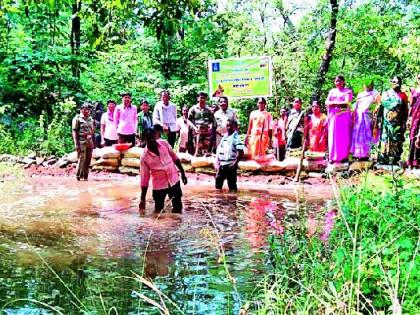 Forest built for wild animals | वन्यप्राण्यांसाठी बांधला वनराई बंधारा