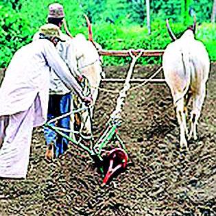 200 farmer groups to be prepared in the district | जिल्ह्यात तयार होणार २०० शेतकरी गट