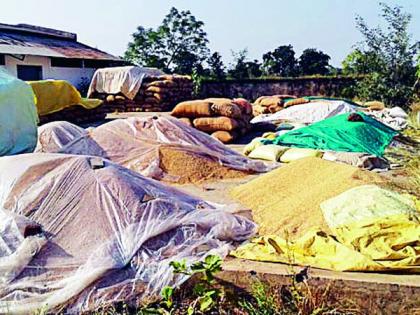 You tell me, sir, where to sell the rest of the grain? | तुम्हीच सांगा साहेब उर्वरित धानाची विक्री करायची कुठे? You tell me, sir, where to sell the rest of the grain? | तुम्हीच सांगा साहेब उर्वरित धानाची विक्री करायची कुठे?