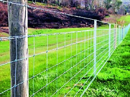 Fence mesh for forests | जंगलालगतच्या शेतांना जाळीचे कुंपण