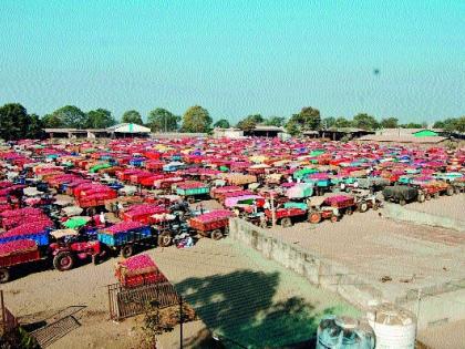 20 thousand quintals of onion arrivals | २० हजार क्विंटल कांद्याची आवक