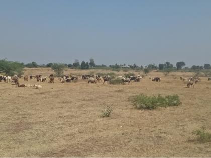 Water shortage due to drying of Godapatha | गोदापात्र कोरडे पडल्याने पाण्याची कमतरता