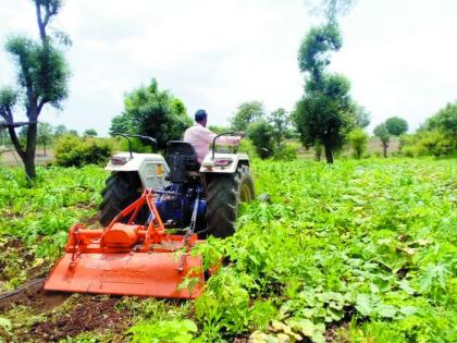 The farmer also turned the tractor on the Gangaphal crop | शेतकऱ्याने गंगाफळ पिकावरही फिरवला ट्रॅक्टर