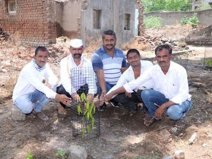 Plantation in Wakhari village | वाखारी गावात वृक्षारोपण