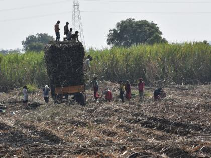 आगाऊ रक्कम फेडण्यासाठी ऊसतोड कामगारांची धावपळ