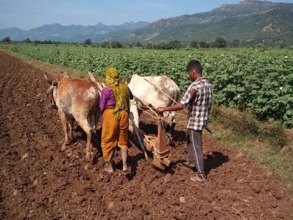 Rabi sowing 'break' due to continuous rains | सततच्या पावसामुळे रब्बी पेरणीला ‘ब्रेक’ Rabi sowing 'break' due to continuous rains | सततच्या पावसामुळे रब्बी पेरणीला ‘ब्रेक’