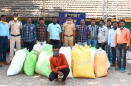 Cotton thief arrested | कापूस चोरी करणा-याला अटक Cotton thief arrested | कापूस चोरी करणा-याला अटक