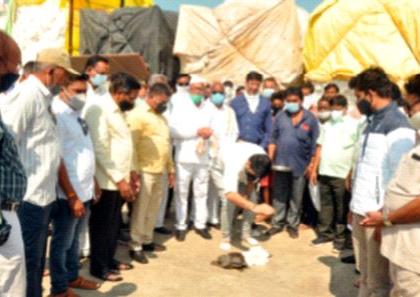 Start buying cotton in Shahada and Nandurbar | शहादा व नंदुरबारात कापूस खरेदीला प्रारंभ Start buying cotton in Shahada and Nandurbar | शहादा व नंदुरबारात कापूस खरेदीला प्रारंभ