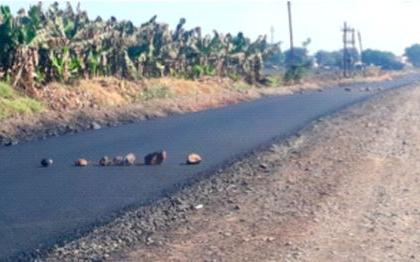 Currently there is no directional sign on the light-pylon road | प्रकाशा-तोरणमाळ रस्त्यावर दिशादर्शक फलक नसल्याने हाल