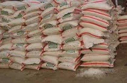Urea not available even after Agriculture Minister's visit! | कृषी मंत्र्यांच्या दौऱ्यानंतरही युरिया मिळेना ! Urea not available even after Agriculture Minister's visit! | कृषी मंत्र्यांच्या दौऱ्यानंतरही युरिया मिळेना !