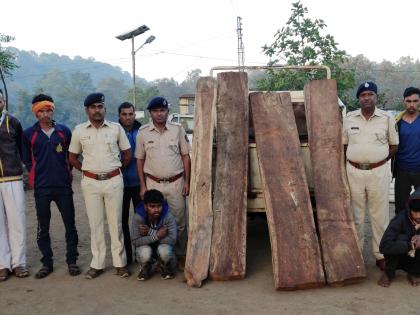 Seized tiger wood at Lugamba | लगडाआंबा येथे सागवानी लाकूड जप्त