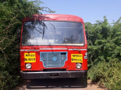 Invitation to accidents due to thorny bushes on rural roads | ग्रामीण भागातील रस्त्यांवर काटेरी झुडपांमुळे अपघातांना निमंत्रण