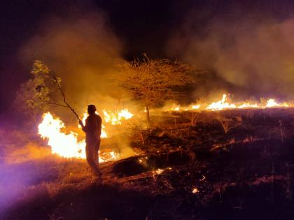 Fire in the forest area in Khambal | खंबाळेत वनविभागाच्या क्षेत्रात आग