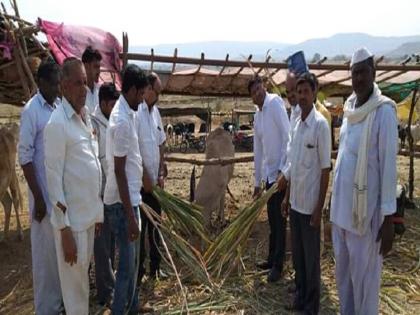 Government time to cover camps - Prajakta Tanpuray | छावण्याबाबत शासनाचा वेळ काढूपणा - प्राजक्त तनपुरे