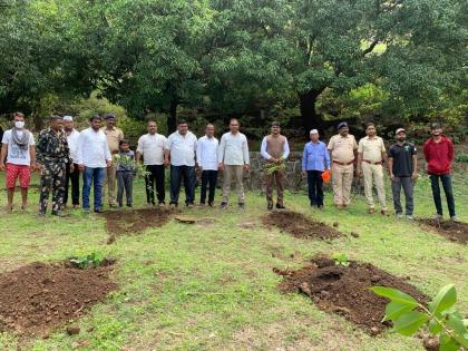 Plantation on Anjaneri fort on Environment Day | पर्यावरण दिनी अंजनेरी गडावर वृक्षारोपण