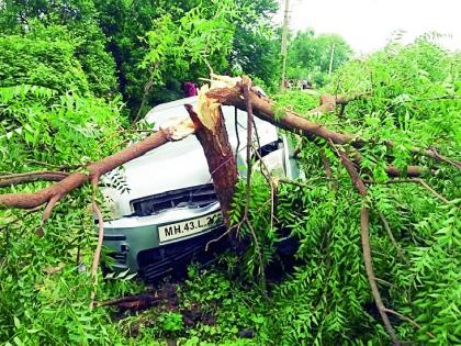 The car carrying the alcohol hit the tree | दारू घेऊन जाणारी कार झाडावर धडकली