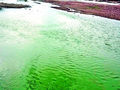 Water on the green river came in the killer river bank | खुनी नदीपात्रात आले हिरवेगावर पाणी