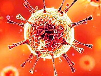 There are 916 home quarantines in Maregaon | मारेगाव येथे ९१६ जण होम क्वारंटाईन There are 916 home quarantines in Maregaon | मारेगाव येथे ९१६ जण होम क्वारंटाईन