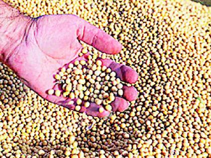 Investigate the artificial scarcity of soybean seeds | सोयाबीन बियाण्यांच्या कृत्रिम टंचाईची सखोल चौकशी करा