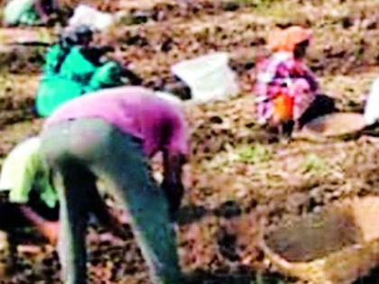 Villagers returned from the metropolis to the village | महानगरातून परतलेल्या लेकरांमुळे गावखेडे फुलले Villagers returned from the metropolis to the village | महानगरातून परतलेल्या लेकरांमुळे गावखेडे फुलले