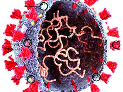 Three patients with re-delta virus infection | पुन्हा डेल्टा विषाणू संसर्गाचे तीन रुग्ण