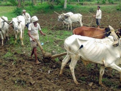 Crop insurance is brought down by one crore farmers in the state | राज्यातील एक कोटी शेतकऱ्यांनी उतरविला पीक विमा