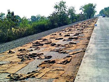 Halgarji in Curing Road | सिमेंट रस्त्यात क्यूरिंगमध्ये हलगर्जी