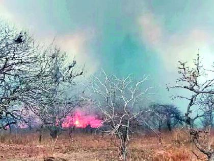 Poor forest fire; Damage to seven hectares | पोहरा जंगलात आग; सात हेक्टरला क्षती