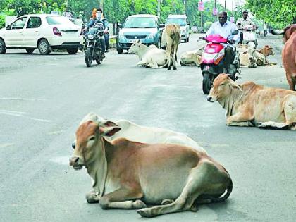 Municipal Corporation | पालकमंत्र्यांच्या निर्देशाला महापालिकेचा खो Municipal Corporation | पालकमंत्र्यांच्या निर्देशाला महापालिकेचा खो