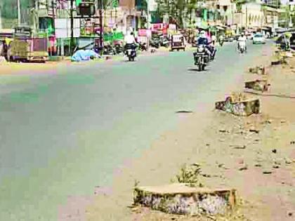 The shadow on the road lost due to tree trunk | वृक्षतोडीमुळे हरवली रस्त्यावरील सावली