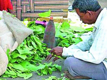 Hundreds of laborers resign due to absence of auction | तेंदूपत्ता लिलावाअभावी शेकडो मजुरांमध्ये नाराजी