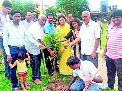 9 7 thousand trees of biodiversity in different parts of the city | शहरातील विविध प्रभागात लावणार जैवविविधतेचे ९७ हजार वृक्ष