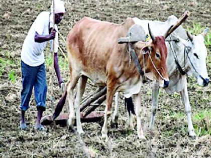 Farmers eyes in the sky! | शेतकऱ्यांच्या नजरा आकाशाकडे !