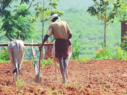 Declare a dry famine in Kalwan | कळवणमध्ये कोरडा दुष्काळ जाहीर करा