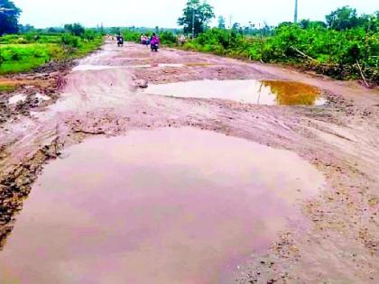 The Sironcha-Alapally-Aheri road is rocky | सिरोंचा-आलापल्ली-अहेरी मार्ग खड्डेमय