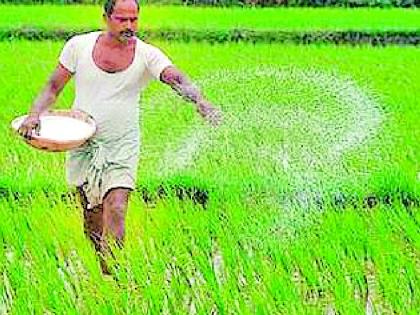 Fertilizer and seeds will be available in the village itself | गावातच उपलब्ध होणार खत व बियाणे Fertilizer and seeds will be available in the village itself | गावातच उपलब्ध होणार खत व बियाणे