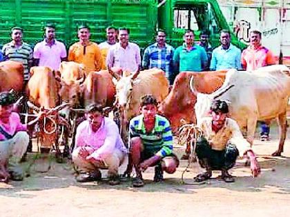 Livestock to animals due to police | पोलिसांमुळे जनावरांना जीवदान