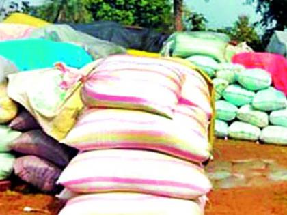 Farmers give orders for paddy inflation | धान भाववाढीच्या आदेशाने शेतकऱ्यांना दिलासा Farmers give orders for paddy inflation | धान भाववाढीच्या आदेशाने शेतकऱ्यांना दिलासा