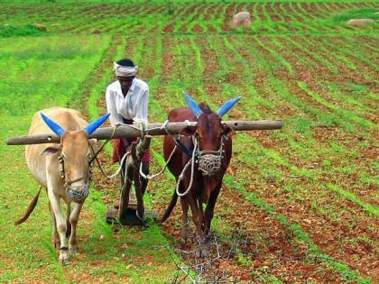 The hope of 75 thousand 'Khatte' borrowers | ७५ हजार ‘खावटी’ कर्जदारांच्या आशा पल्लवित