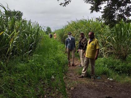 Forest department finds leopard footprints | वनविभागाला सापडले बिबट्यांच्या पायाचे ठसे Forest department finds leopard footprints | वनविभागाला सापडले बिबट्यांच्या पायाचे ठसे