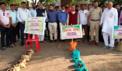 Distribution of 11,000 seedballs and seedlings | ११ हजार सीडबॉल व रोपांचे वाटप Distribution of 11,000 seedballs and seedlings | ११ हजार सीडबॉल व रोपांचे वाटप