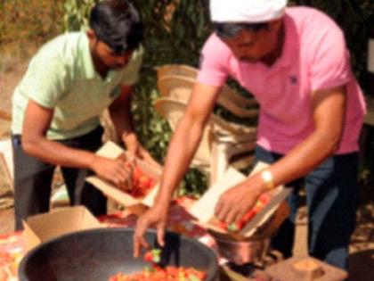 Strawberry cultivation flourished in Satpuda | सातपुड्यात स्ट्रॉबेरीची शेती फुलली Strawberry cultivation flourished in Satpuda | सातपुड्यात स्ट्रॉबेरीची शेती फुलली