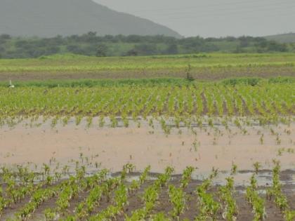 Only one and a half thousand farmers: made 'insurance' | केवळ साडेनऊ हजार शेतक:यांनी केला ‘विमा’