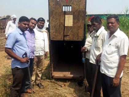 Parbhani: Leopard watched only 20 feet | परभणी :अवघ्या २० फुटांवरून पाहिला बिबट्या