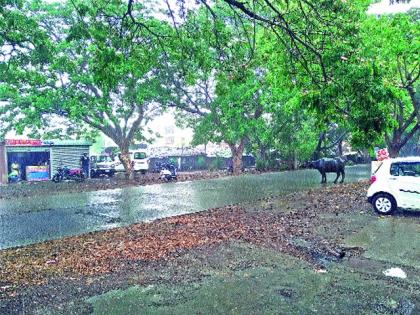 Heavy rain in Igatpuri taluka | इगतपुरी तालुक्यात मुसळधार पाऊस