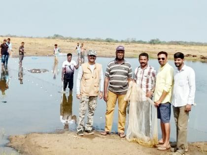 Fisheries, experiments successful on Kandalgaon slums | कांदळगावच्या कातळावर मत्स्यशेती, प्रयोग यशस्वी